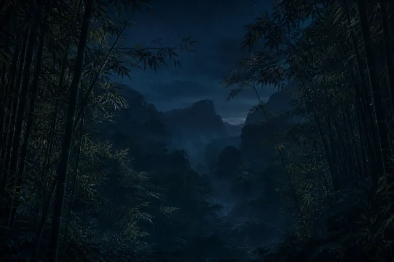 夜色中的山林
